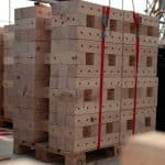 Bauen mit Holz in Frankfurt: Dort wurde ein Einfamilienhaus als unser Pilotprojekt mithilfe der TRIQBRIQ Holzbausysteme als Holzbau ohne Leim realisiert.