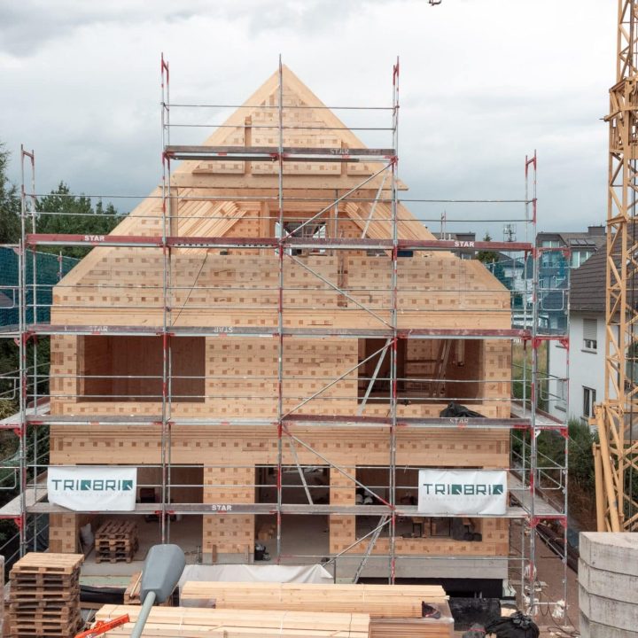 Bauen mit Holz in Frankfurt: Dort wurde ein Einfamilienhaus als unser Pilotprojekt mithilfe der TRIQBRIQ Holzbausysteme als Holzbau ohne Leim realisiert.